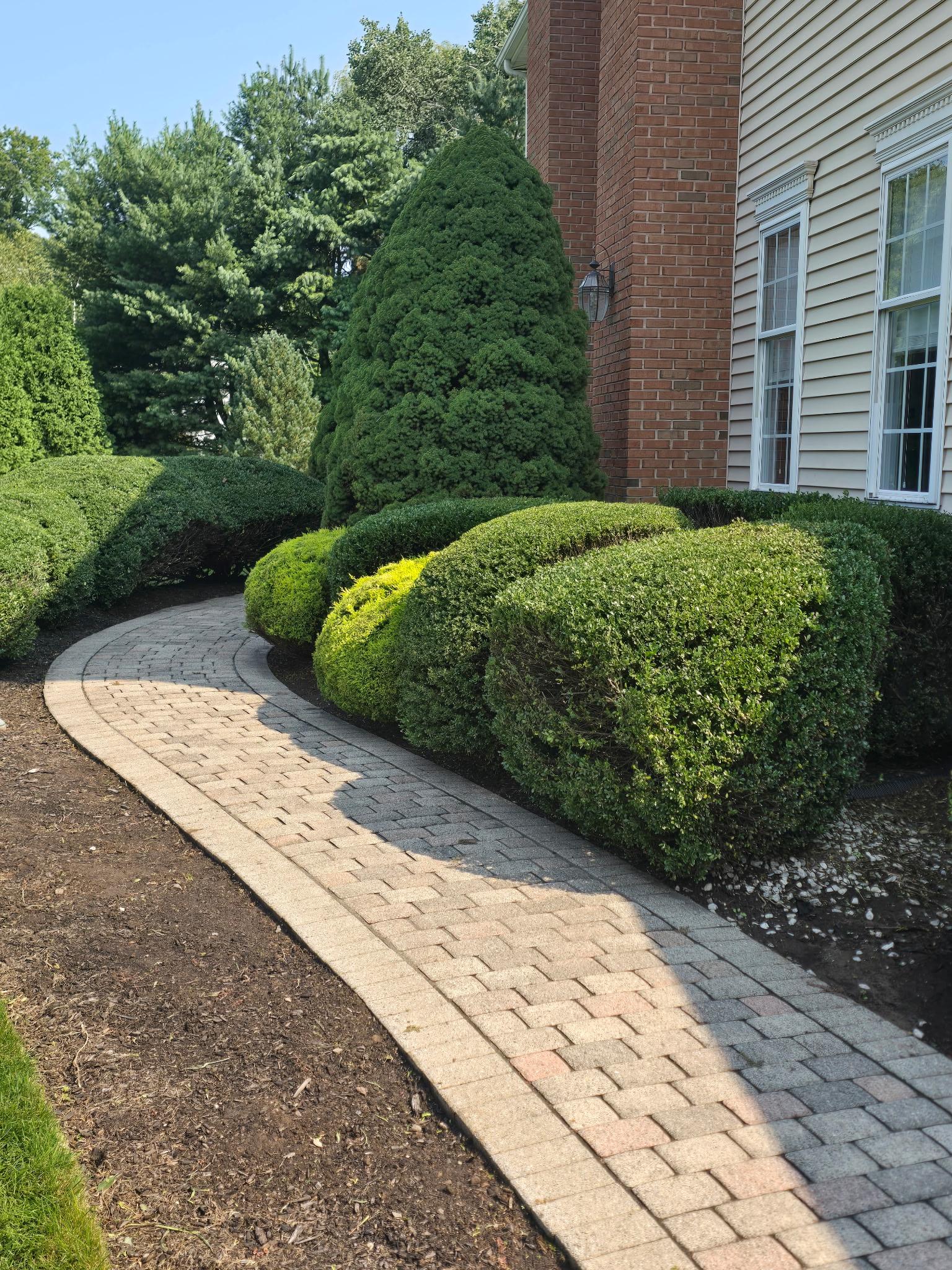 Trimmed shrubs along a curved paver walkway