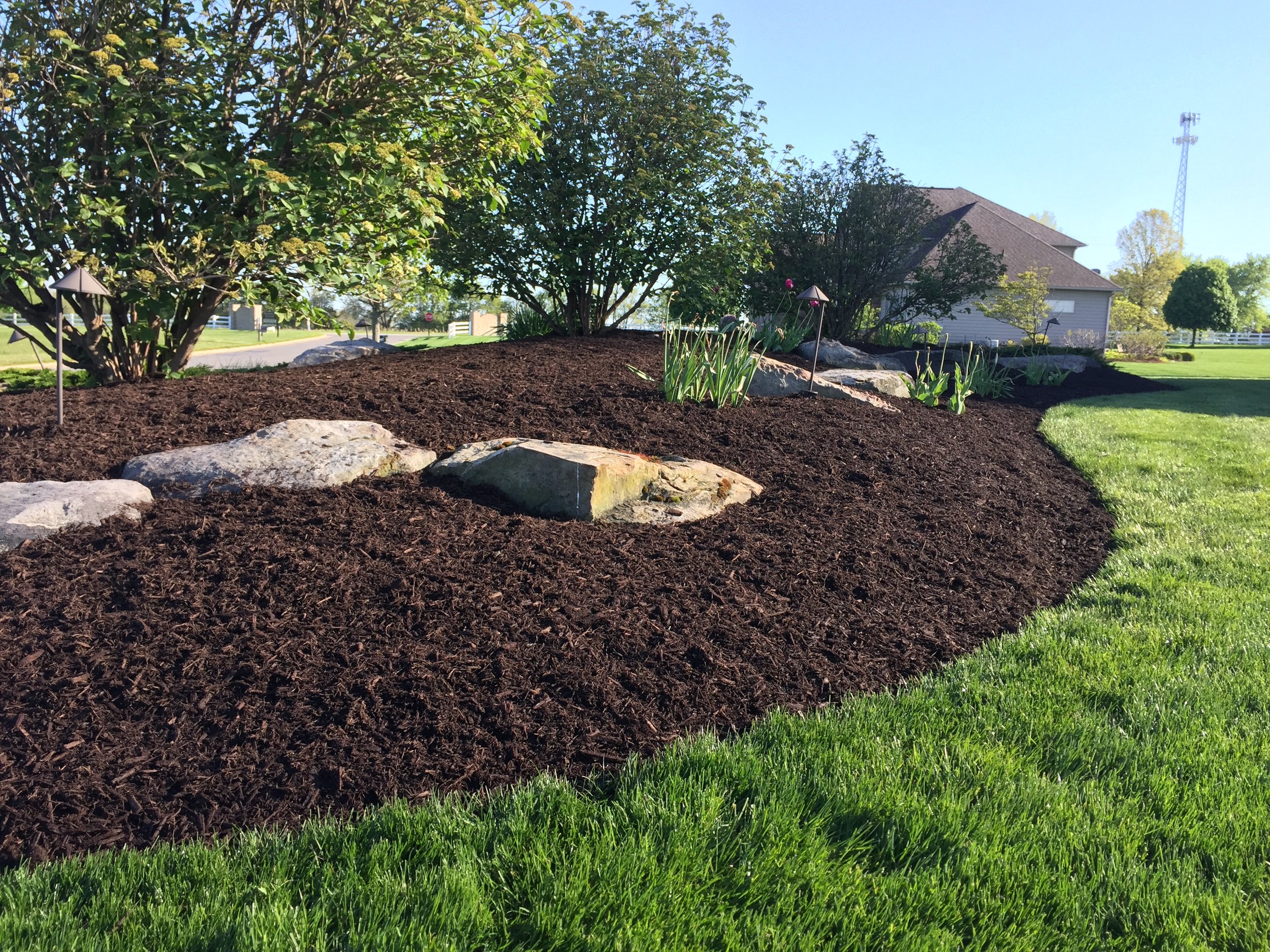 Fresh dark mulch around trees and boulders