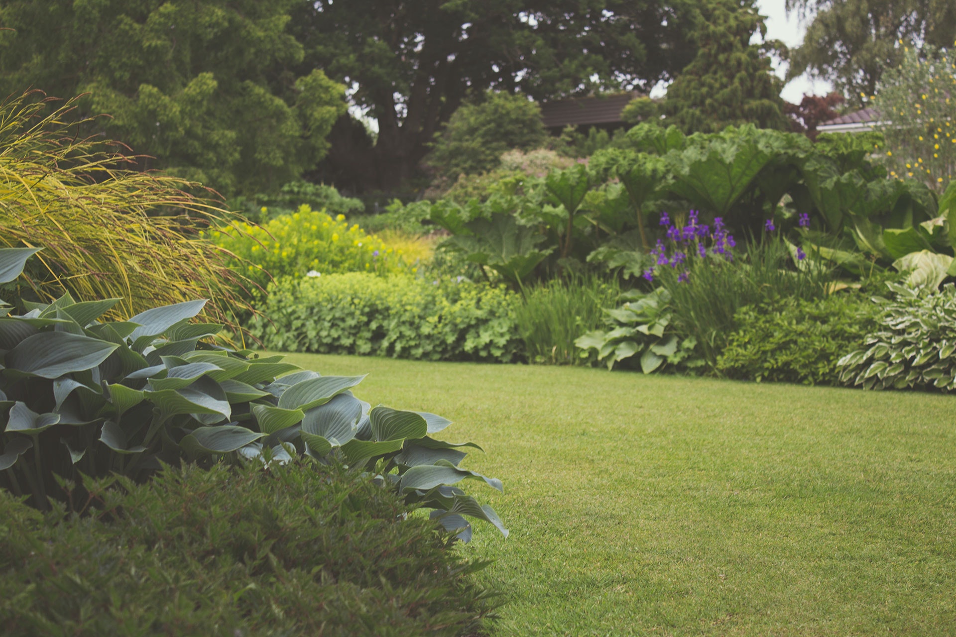 Lush mixed garden border beside a lawn